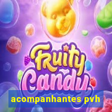 acompanhantes pvh